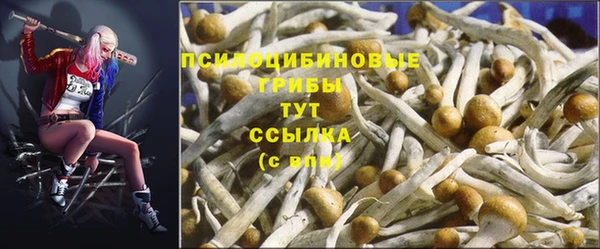 2c-b Богородицк